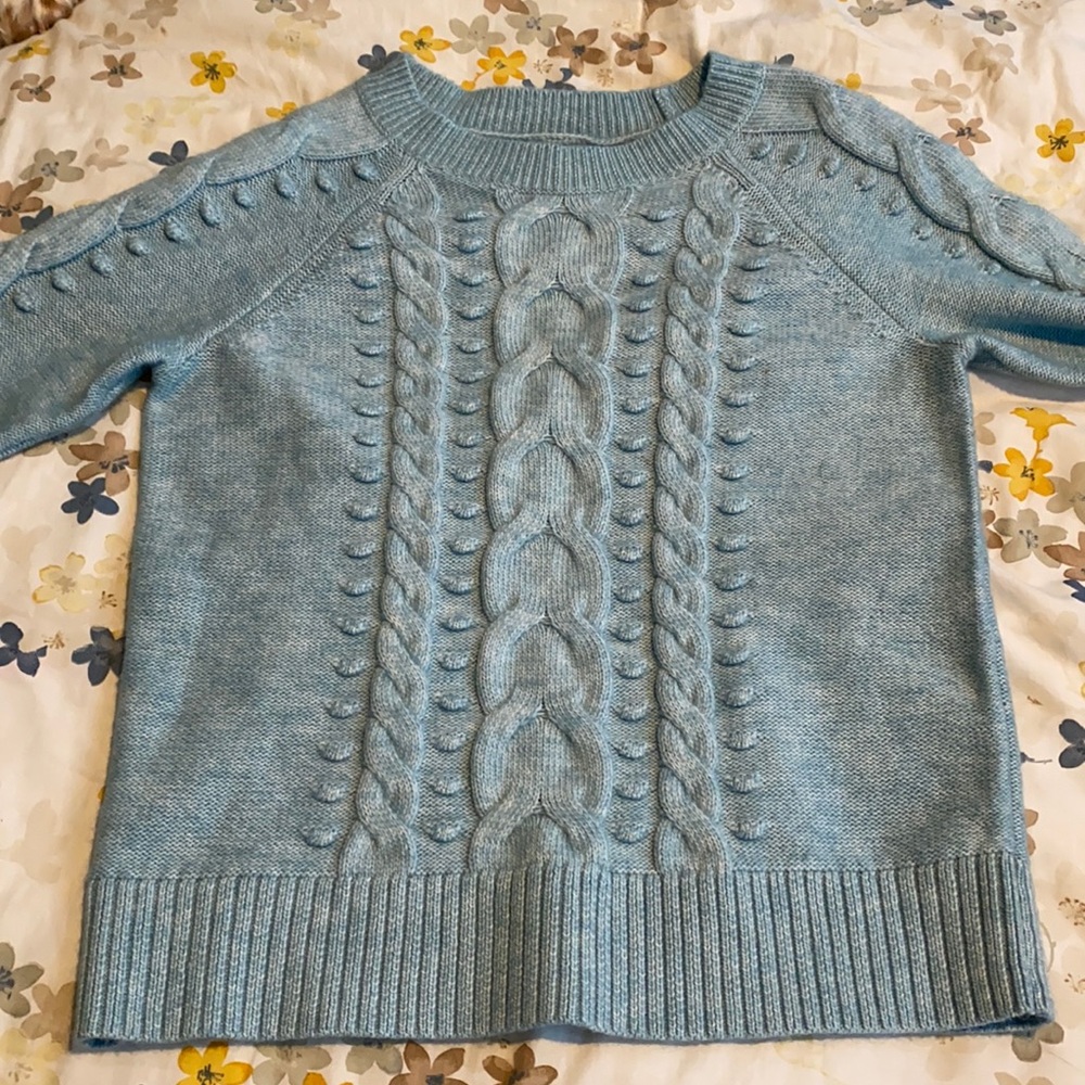 NWOT Loft Sweater